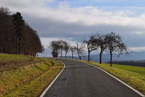 winter path road landscape view nature tree trees forest hills clouds germany deutschland