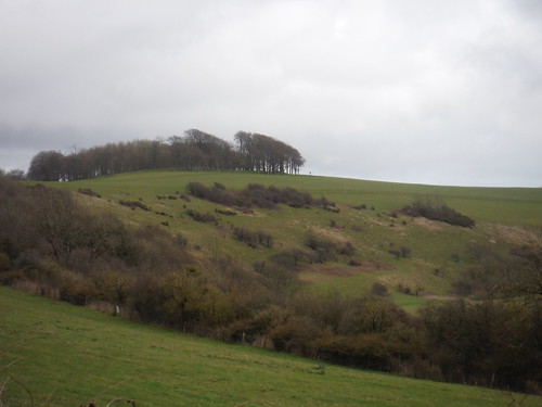 Chanctonbury Ring SWC Walk 26 - South Downs Way: Amberley to Shoreham-by-Sea or Lancing