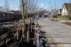 12-03-2020 Aanplant laatste bomen aan Oude Wisselseweg