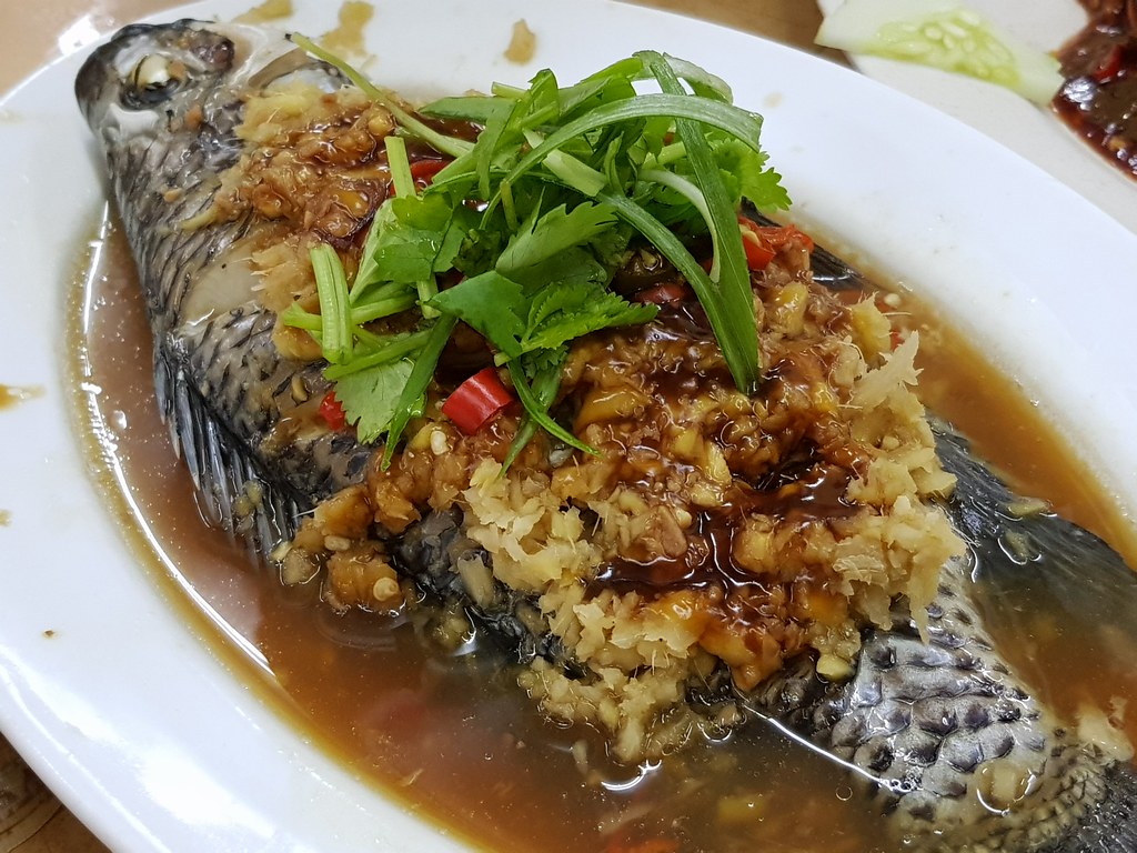 清蒸非洲鱼 Steamed Tilapia rm$18.50 @ 蘭姐清蒸非洲鱼 Restoran Lan Je USJ1