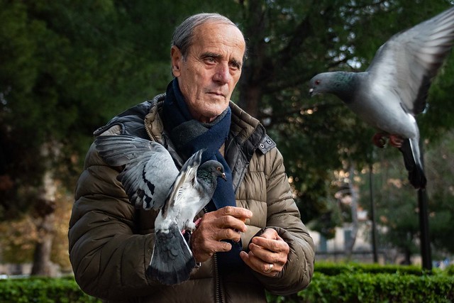 Feeding the pigeons in Palermo, Sicily, Italy