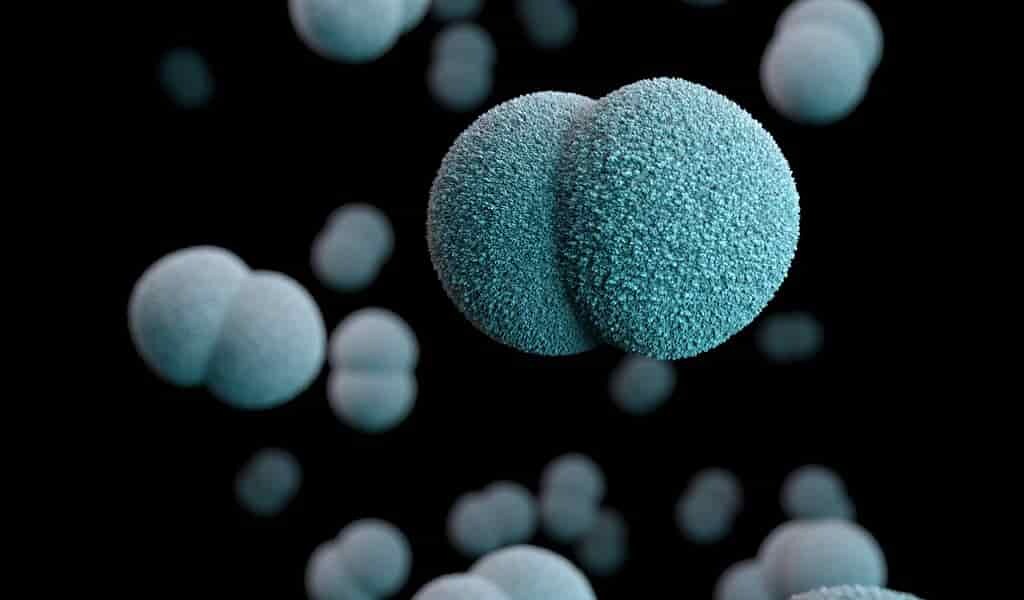 une-nouvelle-nano-stratégie-contre-les-superbactéries