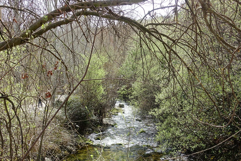 Castril (Granada): ruta de las pasarelas y Sierra del río Castril. - Recorriendo Andalucía. (28)