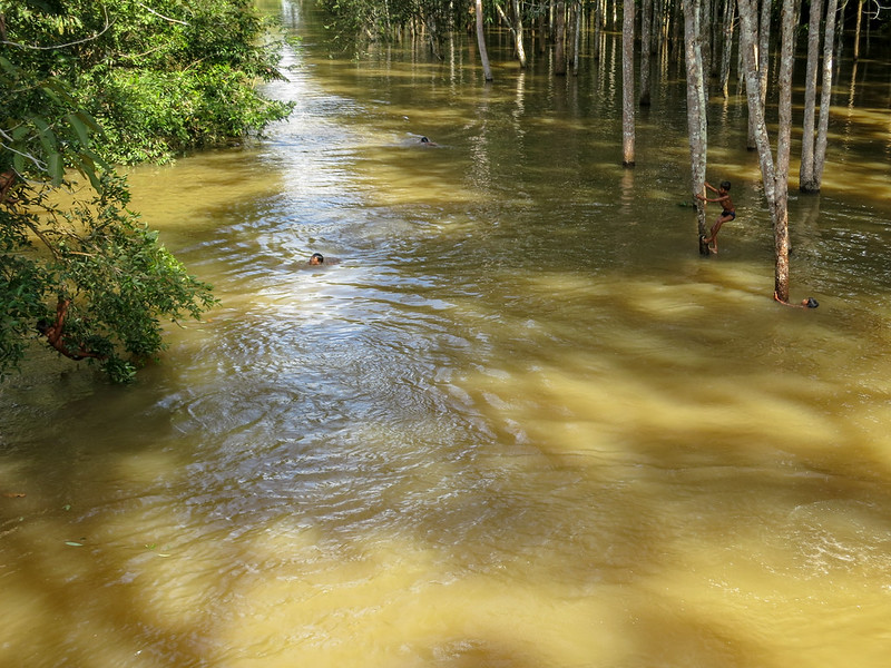 Kids playing in the swamp