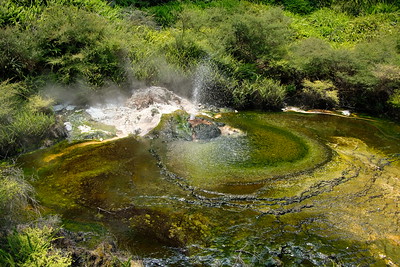 8-181 Waimangu Volcanic Valley