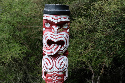 8-137 Te Puia Maori