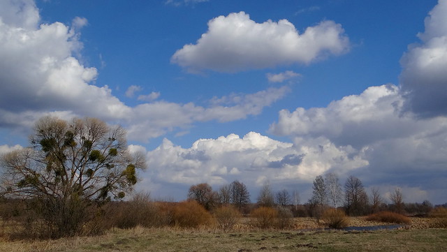 Spring landscape. The village of Kudanivka, Lebedinsky district, Sumy region. Ukraine.