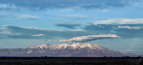 Blanca Peak by Squirrel Girl cbk, colorado march 2020 blancapeak sandhillcranes sunset panorama