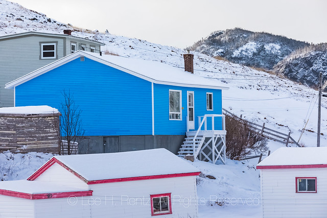 Houses along the Shore in Dunfield, Newfoundland