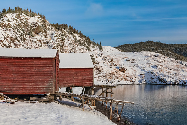Stages along the Shore in Dunfield, Newfoundland