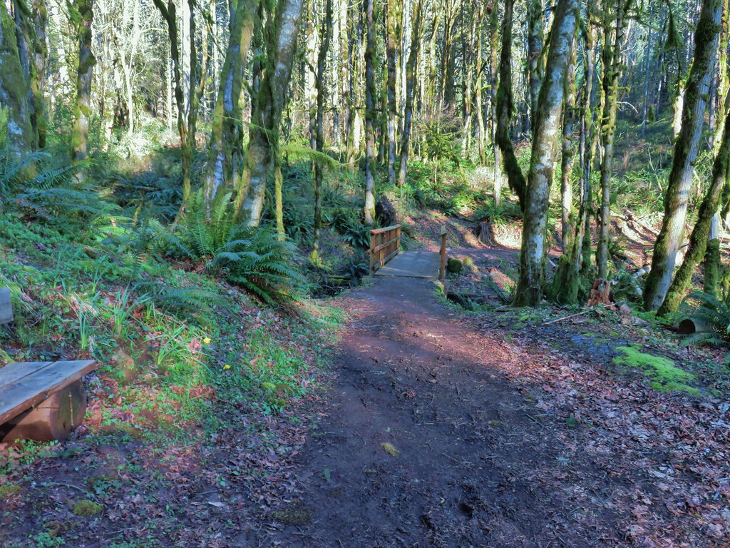 Trail at Miller Woods