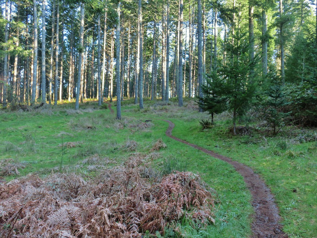 Perimiter trail at Miller Woods
