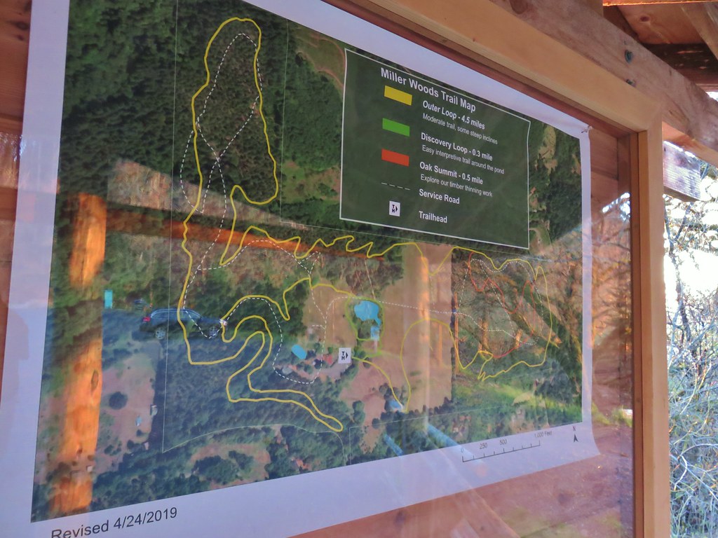Miller Woods trail map