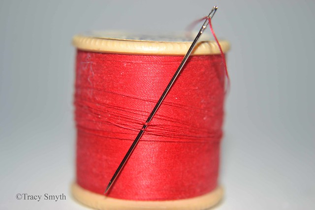 Needle and Thread (75/366)