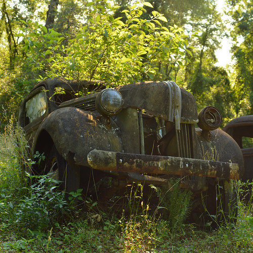april 2019 tallahassee florida fl crawfordville roadside america rust rustinpeace car vintage ford tree