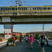 51117-003: EDSA Greenways Project in the Philippines