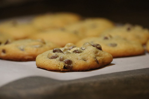 Chocolate chip cookies.