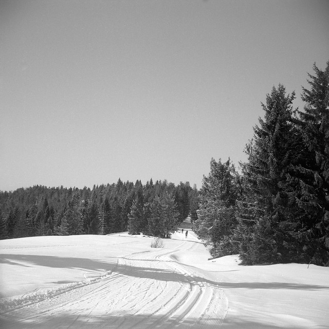Ślady na śniegu / Traces in the snow