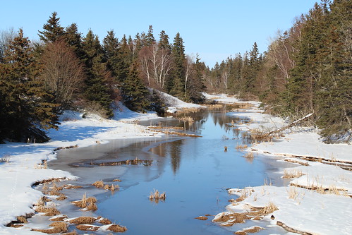 canoecove pei canada stream water winter snow trees