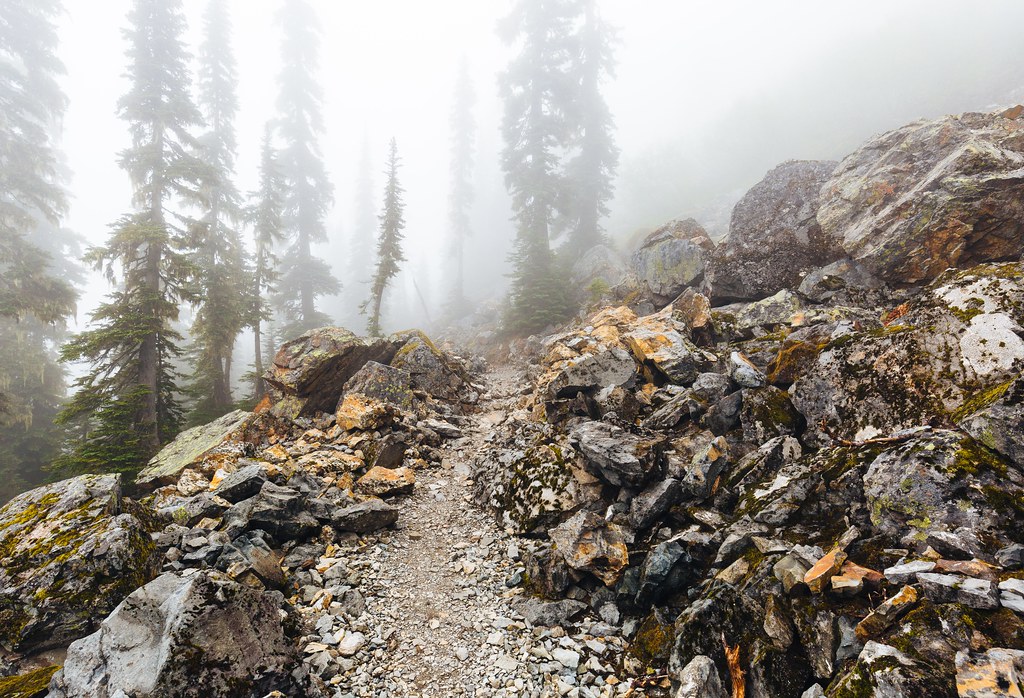 Foggy Path | Photo by Dave on Unsplash