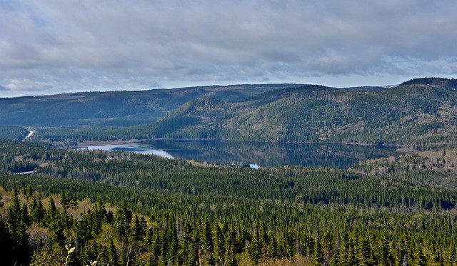 Scenic Viewpoint, Highway 430, NL