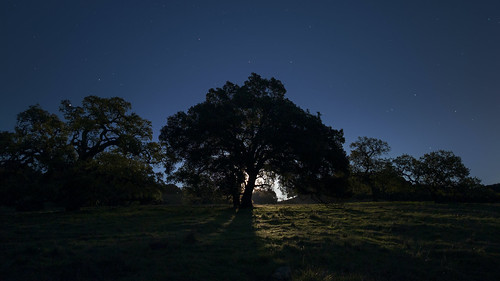 mountburdell novato trees hillside grass shadows silhouette night stars sky moonrise landscape marincounty california googlepixel4