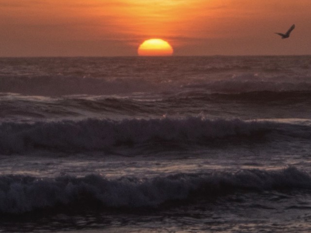 Wild Pacific Sunset