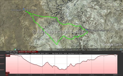 Visual trail map and elevation profile for the King of Wings, Ah-Shi-Sle-Pah Wilderness, New Mexico