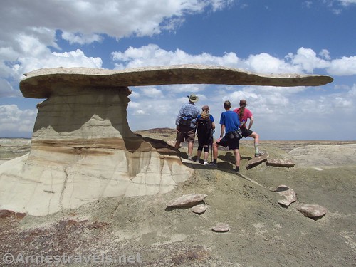 I caught them all looking out at the badlands beyond under the King of Wings, Ah-Shi-Sle-Pah Wilderness, New Mexico