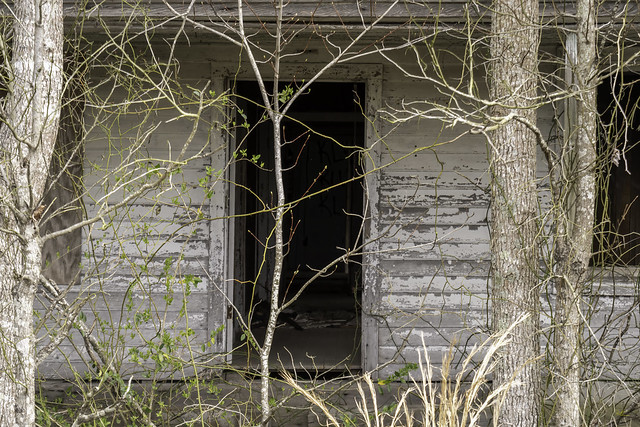 Abandoned In Currituck - 02