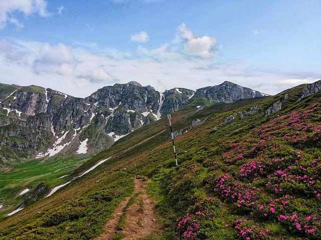 România is my country 💙💛❤ Bucegi Mountains 💙💙💙
