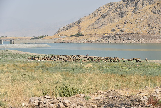 Qalatga Darband Excavations, Darband-i Rania, Sulaymaniyah, Iraqi Kurdistan