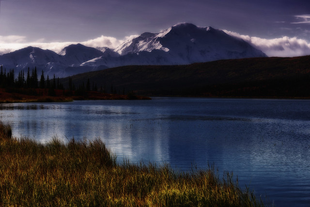 It Isn't Hard to Imagine a Beautiful Place in Denali National Park & Preserve