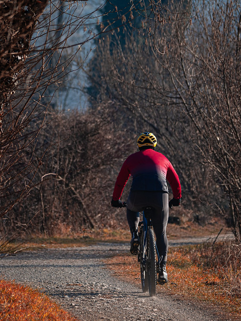 Rear view of a cyclist riding his mountain bike on a path in nature