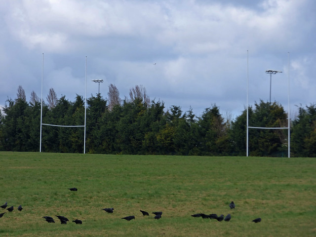Perimeter Walk at Billesley Common - Rugby Goalpost