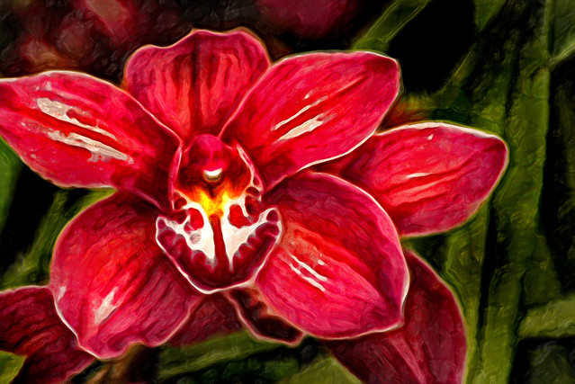 Another Artistic Wonderful Orchid 6-0 F LR 2-24-20 J273
