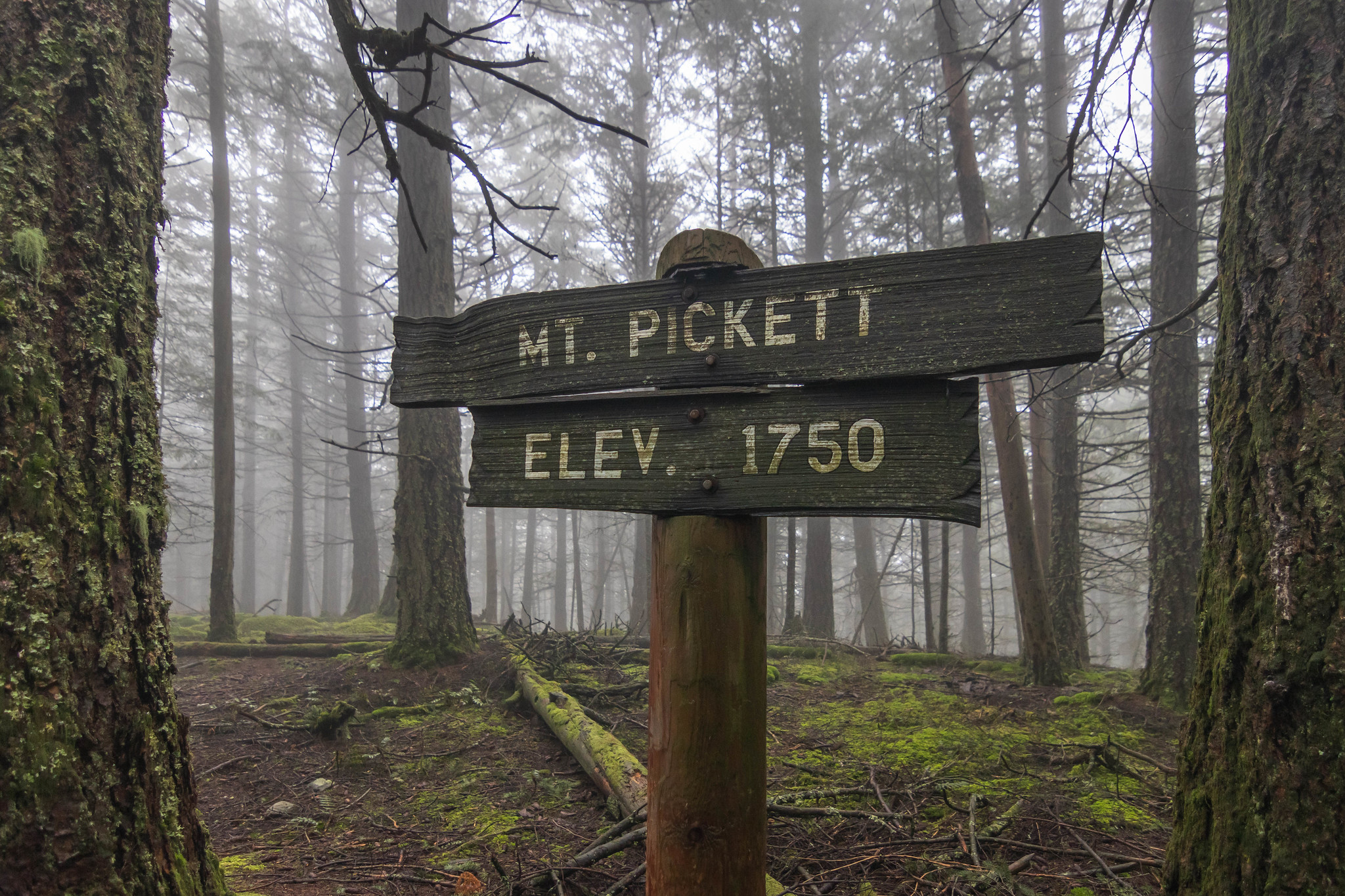 Mount Pickett summit