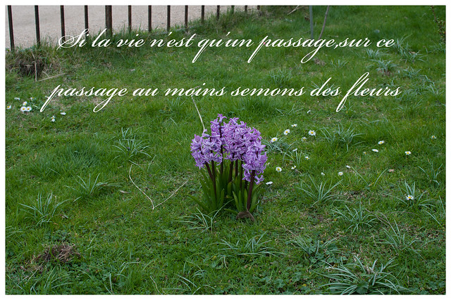 Montaigne-if Life is nothing than a passage,let’s at least sow flowers along it