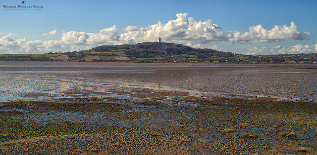 Scrabo hill and tower on a Spring day