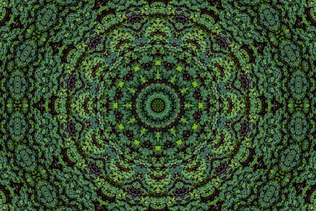 kaleidoscopic clover
