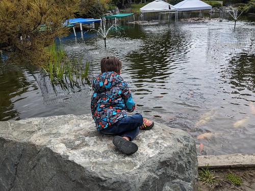 On the rock by the pond