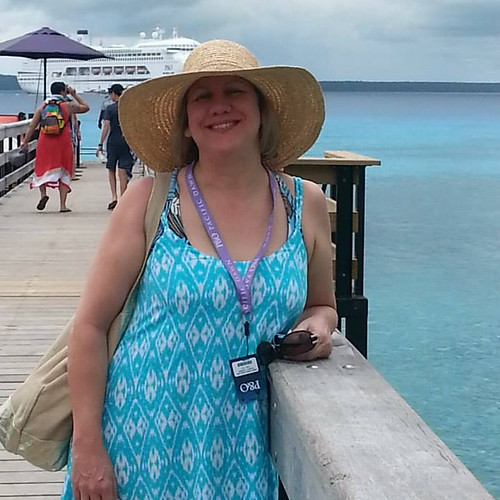 blogging income streams helped me save for a cruise