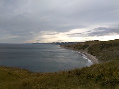View South from Castlepoint