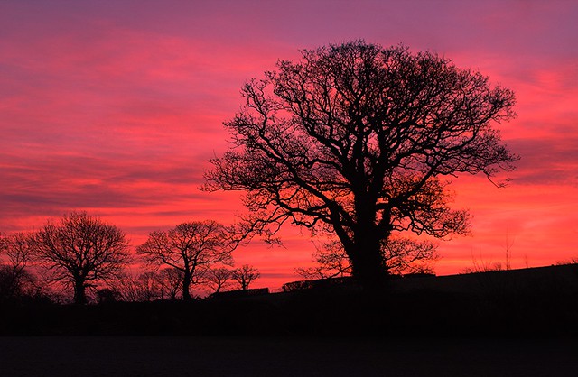 'Today's Sunrise - Betws yn Rhos North Wales' - ON EXPLORE 23.3 2020 | Thank you all!