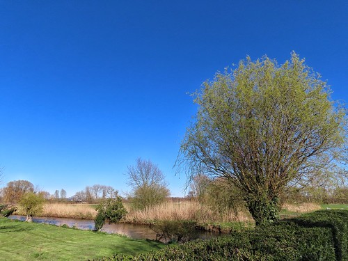 niederrhein blue sky landscape national outdoor travel composition green tree fantasticnature