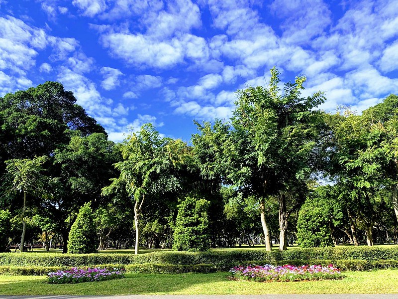 台北市青年公園