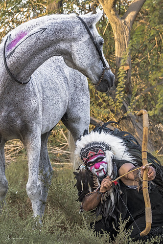 Apache arrows | by ALI AL NASHME