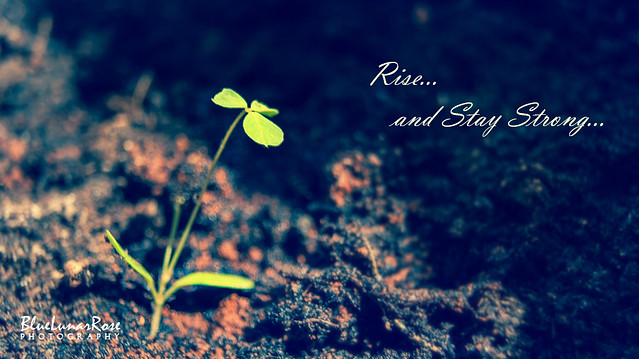 Rise... and Stay Strong...