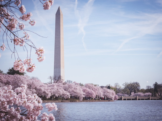 Washington Monument Spring 2020