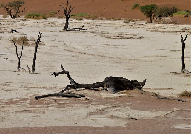 Namibia: the Dead Vlei, Sossusvlei Dunes system